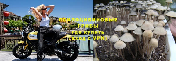 кристаллы Покачи