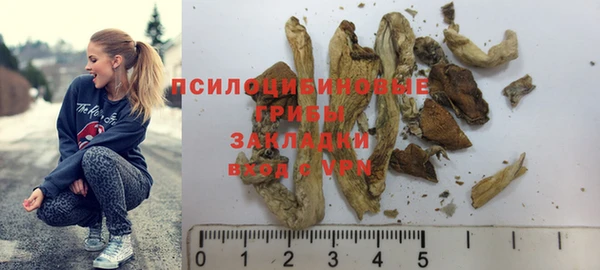 кристаллы Покачи