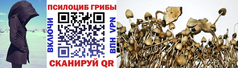 Галлюциногенные грибы мицелий  Пугачёв 